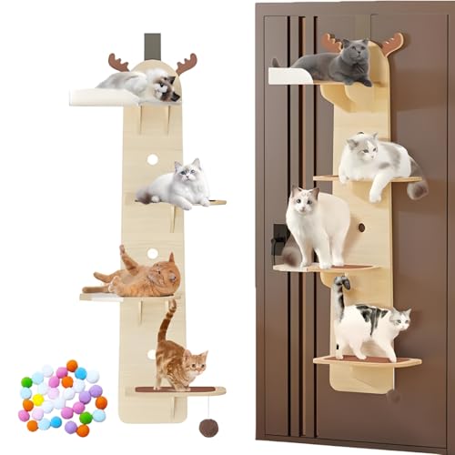RIDEONMOP Tür hängende Katze Regal, Katze Wand Climber, Multi-Level über die Tür Kratzbaum, Kratzbaum Tür Aufhänger mit Katzen Kratzbrett & Plüsch Ball, Indoor-Katzen kratzen & Klettern von RIDEONMOP