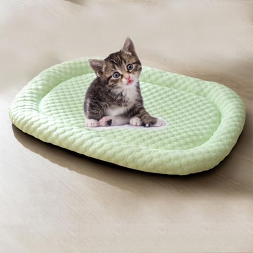 Kühlbett for Hunde, Kühlmatte for Hunde, Kühlkissen for Haustiere aus Eisseide, Kühlmatte for Hunde, blaues Hundebett oder Katzenbett for Kisten, Zwinger, Sofaböden, Autos, Außenbereich(Green,M) Kühlbett for Hunde, Kühlmatte for Hunde, Kühlkissen for Haustiere aus Eisseide, Kühlmatte for Hunde, blaues Hundebett oder Katzenbett for Kisten, Zwinger, Sofaböden, Autos, Außenbereich(Green,M) von RIEONA