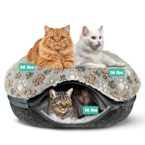 RINGTAIL Peekaboo Katzenhöhle – Höhle Katzenbetten für Indoor-Katzen, groß bis zu 13,6 kg, Katzen-Donut-Tunnelbett mit zwei flauschigen Fleece-Katzendecken, waschbar und abnehmbar (61 x 61 x 27,9 cm RINGTAIL Peekaboo Katzenhöhle – Höhle Katzenbetten für Indoor-Katzen, groß bis zu 13,6 kg, Katzen-Donut-Tunnelbett mit zwei flauschigen Fleece-Katzendecken, waschbar und abnehmbar (61 x 61 x 27,9 cm von RINGTAIL