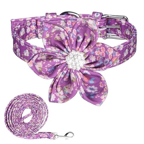 Hundehalsband mit Blumendruck, Blumenakzent und Leine, mit Edelstahl-Hardware und D-Ring, für Welpen, Kätzchen, Katzen, Kleintiere, Lila, Größe S Hundehalsband mit Blumendruck, Blumenakzent und Leine, mit Edelstahl-Hardware und D-Ring, für Welpen, Kätzchen, Katzen, Kleintiere, Lila, Größe S von RINUOVA