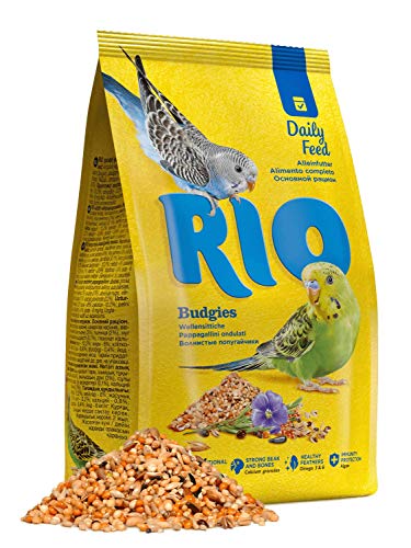 RIO Budgries | 1 kg | Alleinfuttermittel für Wellensittiche | Enthält gesunde Saaten und Getreide | Mit Algen und Calciumgluconat für eine gesunde und ausgewogene Ernährung von RIO