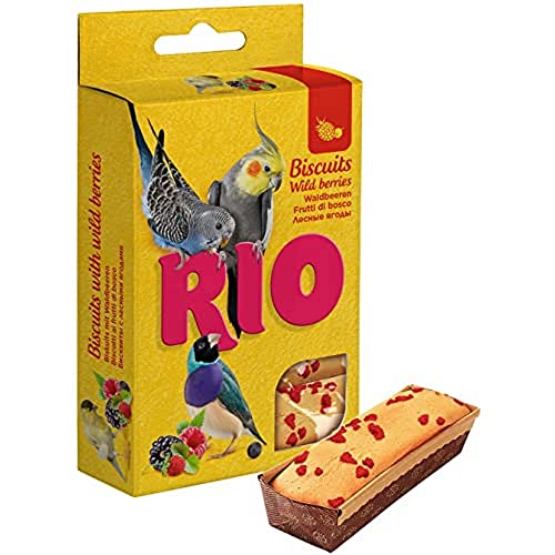RIO Biscuits für alle Vogelarten mit Waldbeeren, 35 g, 22190, 35 g (1er Pack) von RIO