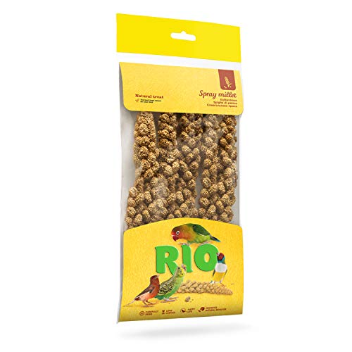 RIO Kolbenhirse. Naturleckerli für alle Vögel, 100 g von RIO