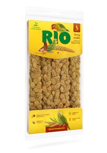 RIO Kolbenhirse | 100 g | Ergänzungsfutter für Heimvögel | Beliebte Leckerei für Sittiche, Kanarien und mehr | Handverlesen & sorgfältig getrocknet | Ideal zum Spielen & Training von RIO