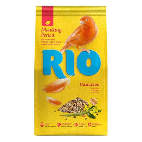 RIO Mauserfutter für Kanarien, 1er Pack (1 x 500 g) von RIO