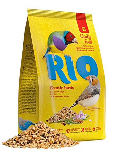 RIO Exotic Birds | 1 kg | Alleinfuttermittel für Bronzemännchen, Astrilden und Zwergweber | Mit gesunden Saaten und Getreidearten | Reich an Nährstoffen für das Wohlbefinden von RIO