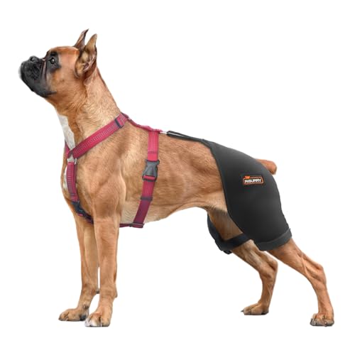 RISURRY /LISPOO Unterstützung für Hunde, Hüfte, Dysplasie und andere Bedingungen, die das Hüftgelenk beeinflussen, unterstützt Arthritis, Rückenbein-Lipping usw., Größe XL (mittelgroße Hunde) von RISURRY