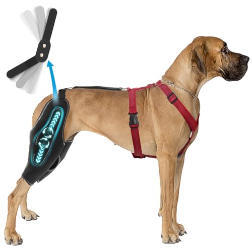 RISURRY Hunde-Kniebandage mit Metallschiene, Scharnierstütze für ACL/CCL-Riss, Hundebeinbandage für Patella-Luxation, Arthritis, Gelenkschmerzen, Kreuzbandverletzungen usw. – groß von RISURRY