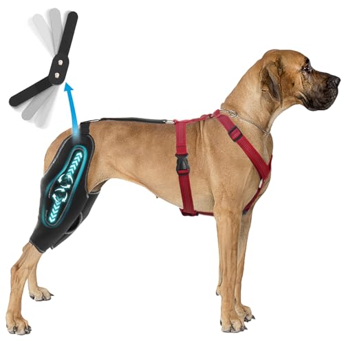 RISURRY Hunde-Kniebandage mit Metallschiene, Scharnierstütze für ACL/CCL-Riss, Hundebeinbandage für Patella-Luxation, Arthritis, Gelenkschmerzen, Kreuzbandverletzungen usw. – groß RISURRY Hunde-Kniebandage mit Metallschiene, Scharnierstütze für ACL/CCL-Riss, Hundebeinbandage für Patella-Luxation, Arthritis, Gelenkschmerzen, Kreuzbandverletzungen usw. – groß von RISURRY