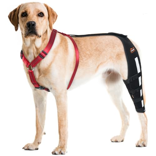 RISURRY Hunde-Kniebandage mit abnehmbarem Hunde-Brustgeschirr zum Luxieren von Patella, gerissener ACL, Arthritis, Kreuzband, Stützbandage für Hunde, Hinterbeinbandage (linkes Bein, groß) von RISURRY