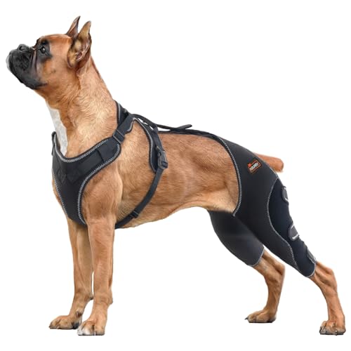 RISURRY Hundebeinbandagen für das Hinterbein, reduziert Hinken, Instabilität oder Müdigkeit, unterstützt Luxating Patella, Arthrose, Meniskusverletzungen, Kniescheibenprobleme usw. (XL) von RISURRY
