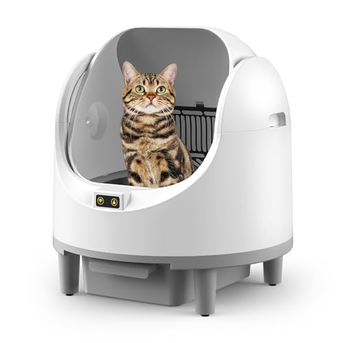 RITHRY Offene Katzenklo Selbstreinigend,Automatisches Katzenklo XXL Mit App Elektrisches 10-Liter-Kotauffangbehälter Und 9 -Sensor-Schutz, Katzenklo Offene Für Große Katzen RITHRY Offene Katzenklo Selbstreinigend,Automatisches Katzenklo XXL Mit App Elektrisches 10-Liter-Kotauffangbehälter Und 9 -Sensor-Schutz, Katzenklo Offene Für Große Katzen von RITHRY