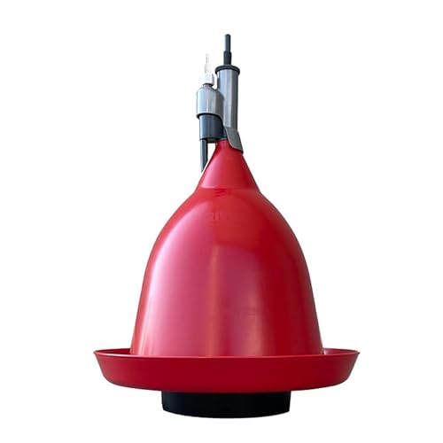 Automatische Tränke mit Trinkrinne und Ballasteimer für Masthähnchen/Legehennen/Zuchthühner – River Systems Automatische Tränke mit Trinkrinne und Ballasteimer für Masthähnchen/Legehennen/Zuchthühner – River Systems von RIVER
