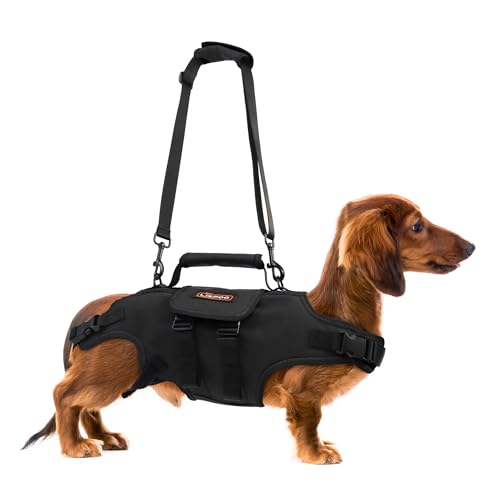 RIXBEO Dog Lift Harness Full Body Dog Lift Harness für Medium Dogs mit verstellbarem Griff und reflektierenden Streifen für Senior Dogs, Post-OP-Erholung, Gelenkprobleme, Oxford-Gewebe, Schwarz, M RIXBEO Dog Lift Harness Full Body Dog Lift Harness für Medium Dogs mit verstellbarem Griff und reflektierenden Streifen für Senior Dogs, Post-OP-Erholung, Gelenkprobleme, Oxford-Gewebe, Schwarz, M von RIXBEO