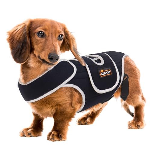 Rückenstütze für IVDD und Bandscheiben, ideal für Dackel, Corgis, bietet Wirbelsäulenstabilität und Schmerzlinderung, Größe M Rückenstütze für IVDD und Bandscheiben, ideal für Dackel, Corgis, bietet Wirbelsäulenstabilität und Schmerzlinderung, Größe M von RIXBEO
