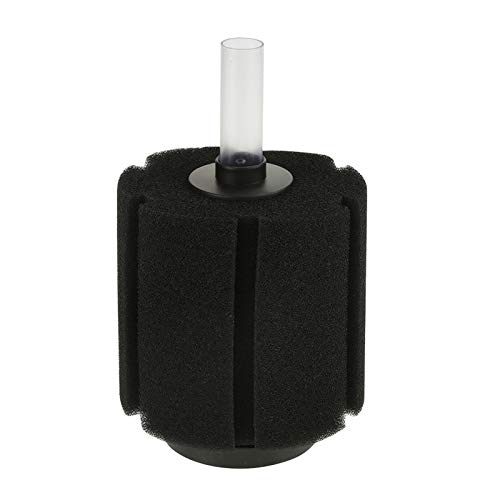 RIZGHWOY 4pcs Aquariumschwamm Filter Fischschwamm Filter Betta Schwammfilter aus Kunststoff Verhinderte Fischsaugung Verbessert die Filtration mit 4pcs -Set RIZGHWOY 4pcs Aquariumschwamm Filter Fischschwamm Filter Betta Schwammfilter aus Kunststoff Verhinderte Fischsaugung Verbessert die Filtration mit 4pcs -Set von RIZGHWOY