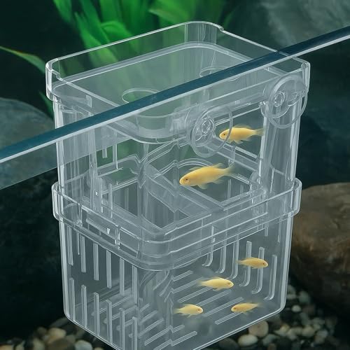 Zuchtbox für Aquarium, transparenter Kunststoff, kleine Aquarium-Trennwand für Frittierschutz, Isolierung aggressiver Fische, 10 x 8 x 7 cm Zuchtbox für Aquarium, transparenter Kunststoff, kleine Aquarium-Trennwand für Frittierschutz, Isolierung aggressiver Fische, 10 x 8 x 7 cm von RJFUJP