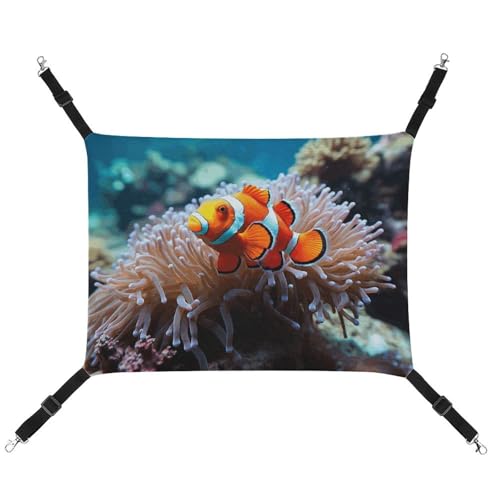 RKJVB Atmungsaktive Haustier-Hängematte mit verstellbaren Riemen, Clownfisch, bedruckt, wendbar, Katzenbett, Hundematten für kleine Kaninchen, Frettchen, Meerschweinchen, 42 x 33 cm RKJVB Atmungsaktive Haustier-Hängematte mit verstellbaren Riemen, Clownfisch, bedruckt, wendbar, Katzenbett, Hundematten für kleine Kaninchen, Frettchen, Meerschweinchen, 42 x 33 cm von RKJVB