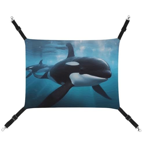 RKJVB Atmungsaktive Haustier-Hängematte mit verstellbaren Riemen, Motiv: Killerwal, bedruckt, wendbar, für kleine Kaninchen, Frettchen, Meerschweinchen, 42 x 33 cm RKJVB Atmungsaktive Haustier-Hängematte mit verstellbaren Riemen, Motiv: Killerwal, bedruckt, wendbar, für kleine Kaninchen, Frettchen, Meerschweinchen, 42 x 33 cm von RKJVB