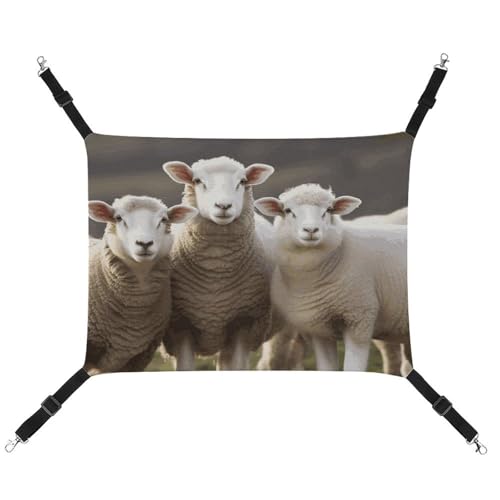 RKJVB Atmungsaktive Haustier-Hängematte mit verstellbaren Riemen, Schafe und Lämmern, bedruckt, wendbar, Katzenbett, Hundematten für kleine Kaninchen, Frettchen, Meerschweinchen, 42 x 33 cm RKJVB Atmungsaktive Haustier-Hängematte mit verstellbaren Riemen, Schafe und Lämmern, bedruckt, wendbar, Katzenbett, Hundematten für kleine Kaninchen, Frettchen, Meerschweinchen, 42 x 33 cm von RKJVB