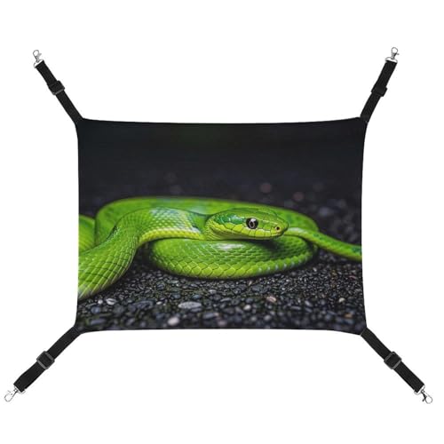 RKJVB Atmungsaktive Haustier-Hängematte mit verstellbaren Riemen, bedruckt, wendbar, für kleine Kaninchen, Frettchen, Meerschweinchen, 42 x 33 cm RKJVB Atmungsaktive Haustier-Hängematte mit verstellbaren Riemen, bedruckt, wendbar, für kleine Kaninchen, Frettchen, Meerschweinchen, 42 x 33 cm von RKJVB