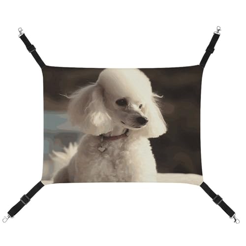 RKJVB Atmungsaktive Haustier-Hängematte mit verstellbaren Riemen, bedruckt, wendbar, für kleine Kaninchen, Frettchen, Meerschweinchen, 42 x 33 cm RKJVB Atmungsaktive Haustier-Hängematte mit verstellbaren Riemen, bedruckt, wendbar, für kleine Kaninchen, Frettchen, Meerschweinchen, 42 x 33 cm von RKJVB