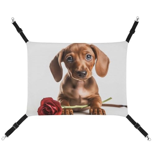 RKJVB Atmungsaktive Haustierhängematte mit verstellbaren Riemen, für Hunde mit Rose, bedruckt, wendbar, für kleine Kaninchen, Frettchen, Meerschweinchen, 42 x 33 cm RKJVB Atmungsaktive Haustierhängematte mit verstellbaren Riemen, für Hunde mit Rose, bedruckt, wendbar, für kleine Kaninchen, Frettchen, Meerschweinchen, 42 x 33 cm von RKJVB