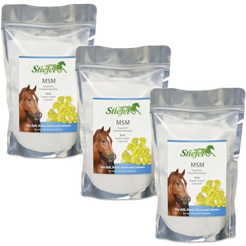 RL24 Stiefel - MSM Pulver für Pferde | Nahrungsergänzungsmittel für Fell, Haut, Horn & Gelenke | Ergänzungsfuttermittel aus organischem Schwefel | 3 x 1000 g Tüte (3er Set) von RL24