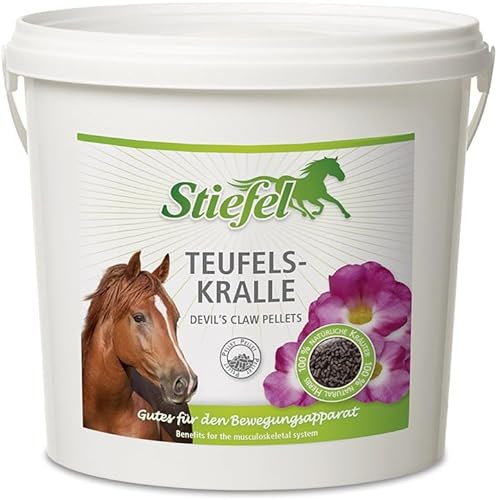 RL24 Stiefel - Teufelskralle Pellet | kann Bewegungsapparat unterstützen & Sich positiv auf Gesunderhaltung v. Gelenken, Sehnen & Knorpeln auswirken | 100% natürliches Pferdefutter | 1 x 1000 g Eimer von RL24