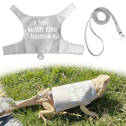 Romansk Hundegeschirr und Leine, Set mit Bartagamen, ausbruchsicher, verstellbar, Eidechse, Reptilien, Kleidung mit kurzer Leine, für Spaziergänge im Freien Romansk Hundegeschirr und Leine, Set mit Bartagamen, ausbruchsicher, verstellbar, Eidechse, Reptilien, Kleidung mit kurzer Leine, für Spaziergänge im Freien von RM Romansk