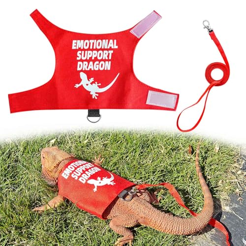 Romansk Hundegeschirr und Leine, Set mit Bartagamen, ausbruchsicher, verstellbar, Eidechsen-Reptilien-Geschirr mit kurzer Leine, für Spaziergänge im Freien, lustige, emotionale Unterstützung, Romansk Hundegeschirr und Leine, Set mit Bartagamen, ausbruchsicher, verstellbar, Eidechsen-Reptilien-Geschirr mit kurzer Leine, für Spaziergänge im Freien, lustige, emotionale Unterstützung, von RM Romansk