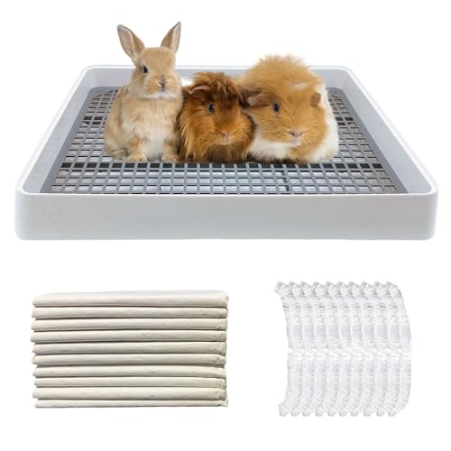 RMNHPTK Meerschweinchenklo Meerschweinchen Trainingspfanne mit Gitter Kaninchen Katzentoilette Kleintiere Töpfchen Tablett für Meerschweinchen Chinchillas Ratten Zwergkaninchen Frettchen Igel RMNHPTK Meerschweinchenklo Meerschweinchen Trainingspfanne mit Gitter Kaninchen Katzentoilette Kleintiere Töpfchen Tablett für Meerschweinchen Chinchillas Ratten Zwergkaninchen Frettchen Igel von RMNHPTK