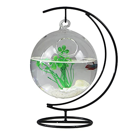 RNCOZE Schreibtisch-Hängeschale mit Ständer, Mini-Tisch-Aquarium-Glas, Betta Fischschale, durchsichtige Pflanzenterrarium für Zuhause, Büro, Garten, Dekoration, A1 von RNCOZE