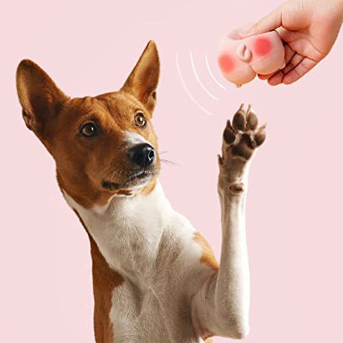 RNQZ Kauspielzeug für Hunde, niedliches interaktives, weiches Geräusch, lustiges, widerstandsfähiges, ungiftiges Kauspielzeug für Hunde von RNQZ
