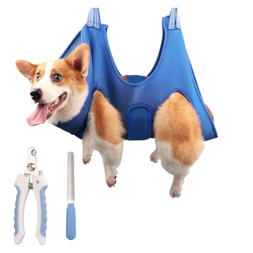 RNXSIB Krallenschere für Hunde Hundekrallen Schneider Profi Tiernail Clipper mit Rutschfestem Griff für Sichere und Präzise Pediküre bei Hunden und Katzen(Größe M, Blau) RNXSIB Krallenschere für Hunde Hundekrallen Schneider Profi Tiernail Clipper mit Rutschfestem Griff für Sichere und Präzise Pediküre bei Hunden und Katzen(Größe M, Blau) von RNXSIB