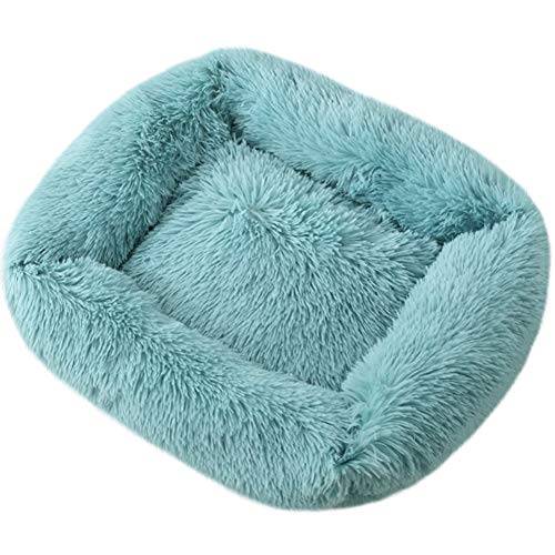 ROADDPMATE Donut Hunde- und Katzenbett, gemütliches Haustierbett, beruhigend, selbstwärmend, weiches Plüschkissen, verbesserter Schlaf für Katzen, kleine, mittelgroße Hunde (Blau, Größe XS) von ROADDPMATE