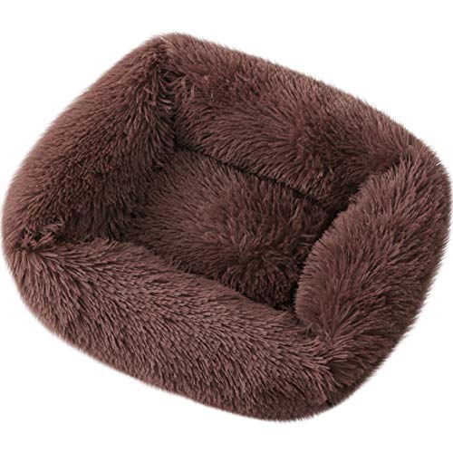 ROADDPMATE Donut Hunde- und Katzenbett, gemütliches Haustierbett, beruhigend, selbstwärmend, weiches Plüschkissen, verbesserter Schlaf für Katzen, kleine, mittelgroße Hunde (Kaffee, Größe X-Small) von ROADDPMATE