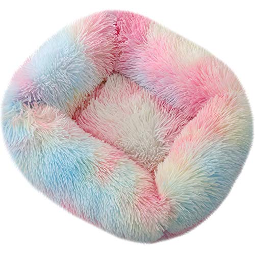 ROADDPMATE Donut-Hunde- und Katzenbett, gemütliches Haustierbett, beruhigend, selbstwärmend, weiches Plüschkissen, verbesserter Schlaf für Katzen, kleine, mittelgroße Hunde (Regenbogen, klein) von ROADDPMATE