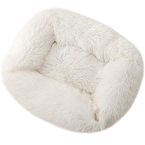 ROADDPMATE Donut Hunde- und Katzenbett, gemütliches Haustierbett, beruhigend, selbstwärmend, weiches Plüschkissen, verbesserter Schlaf für Katzen, kleine, mittelgroße Hunde (Weiß, X-Small) von ROADDPMATE