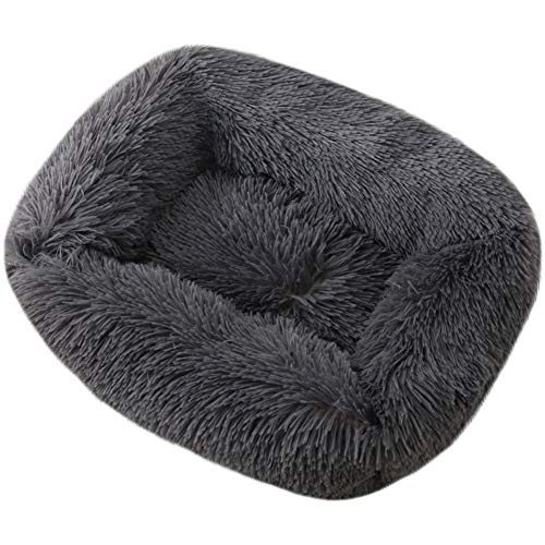 ROADDPMATE Donut Hunde- und Katzenbett, gemütliches Haustierbett, beruhigend, selbstwärmend, weiches Plüschkissen, verbesserter Schlaf für Katzen, kleine, mittelgroße Hunde (dunkelgrau, klein) von ROADDPMATE