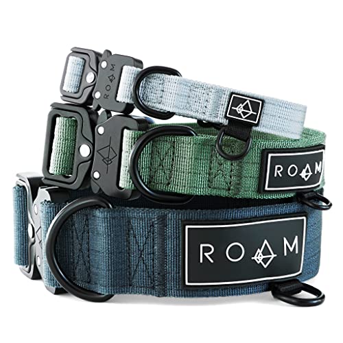 Made to Roam Premium-Hundehalsband, verstellbares, strapazierfähiges Nylon-Halsband mit Schnellverschluss-Metallschnalle (Colorado Nightsky, Größe 4) von ROAM