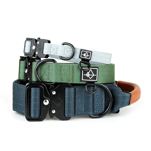 Made to Roam Premium Hundehalsband – Verstellbares, strapazierfähiges Nylonhalsband mit Schnellverschluss-Metallschnalle (Oregon Haze, Größe 4) von ROAM