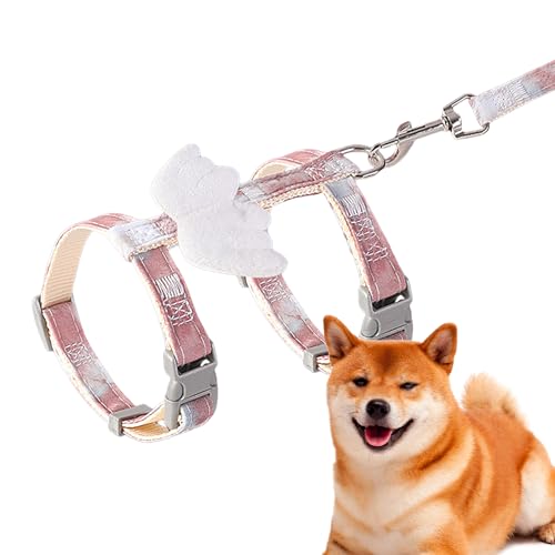 Geschirr- und Gurtset | Bequemes und flexibles Hundegeschirr mit Engelsflügeln – Verhaltenshilfen für Hunde, für Festivals, Paraden, Reisen, Camping, Ausflüge, Spaziergänge Rockia Geschirr- und Gurtset | Bequemes und flexibles Hundegeschirr mit Engelsflügeln – Verhaltenshilfen für Hunde, für Festivals, Paraden, Reisen, Camping, Ausflüge, Spaziergänge Rockia von ROCKIA