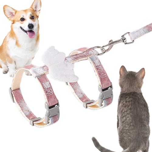 Hundegeschirr, leicht zu kontrollieren, benutzerfreundliches Geschirr-Set, ausbruchsicher – Verhaltenshilfe für Hunde, für Festivals, Paraden, Reisen, Camping, Ausflüge, Spaziergänge Rockia Hundegeschirr, leicht zu kontrollieren, benutzerfreundliches Geschirr-Set, ausbruchsicher – Verhaltenshilfe für Hunde, für Festivals, Paraden, Reisen, Camping, Ausflüge, Spaziergänge Rockia von ROCKIA