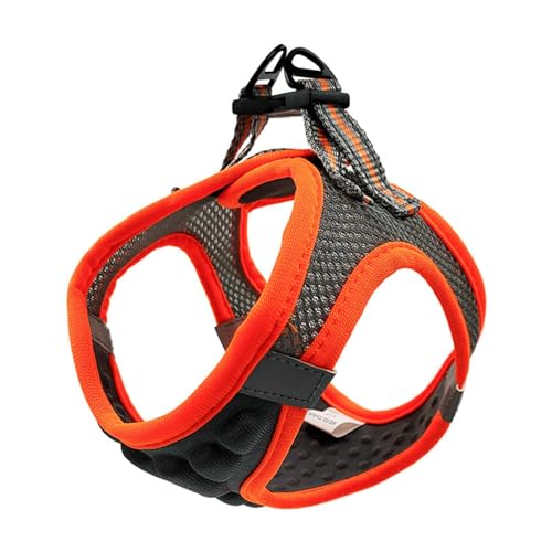 N Pull Hundegeschirr, verstellbar, Brustschutz, Hundeausflugsgeschirr, dreidimensionales Design, Sichtbarkeit, 3D-Protektoren, Geschirr für kleine, mittelgroße und große Hunde N Pull Hundegeschirr, verstellbar, Brustschutz, Hundeausflugsgeschirr, dreidimensionales Design, Sichtbarkeit, 3D-Protektoren, Geschirr für kleine, mittelgroße und große Hunde von ROCKIA