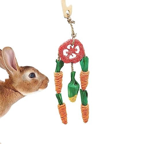 ROCKIA Kaninchen-Kauspielzeug | Papageien-Kauspielzeug für Haustiere, Kaninchen, Karottenform, widerstandsfähiges Kaninchenspielzeug für Chinchillas, Meerschweinchen, Kaninchen und kleine Haustiere ROCKIA Kaninchen-Kauspielzeug | Papageien-Kauspielzeug für Haustiere, Kaninchen, Karottenform, widerstandsfähiges Kaninchenspielzeug für Chinchillas, Meerschweinchen, Kaninchen und kleine Haustiere von ROCKIA