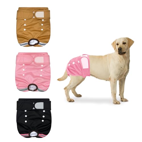 ROEOWENE 3pcs Wiederverwendbare Hundewindeln für Hündinnen M Waschbare Hundewindeln Hochsaugfähige Physiologische Hosen Hunde Höschen Läufigkeitshose für Hündinnen Waschbar für Inkontinenz,Läufigkeit ROEOWENE 3pcs Wiederverwendbare Hundewindeln für Hündinnen M Waschbare Hundewindeln Hochsaugfähige Physiologische Hosen Hunde Höschen Läufigkeitshose für Hündinnen Waschbar für Inkontinenz,Läufigkeit von ROEOWENE