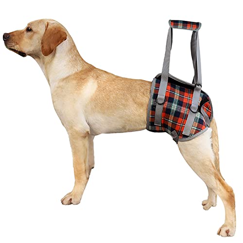 Hund Vorder- und Hinterbein Recovery Sling, Hundestützgeschirr, Hundeschlaufe für Hinterbeine, für Hundehilfe und alte K9 Kreuzbandrehabilitation (Medium,Hind Legs Red) von ROFRA