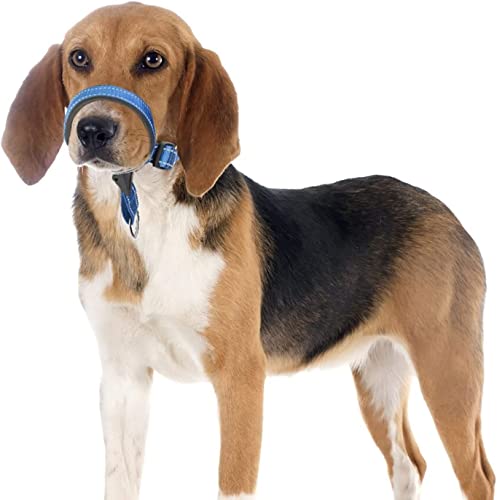 Hundehalsband,No-Pull Hundehalsband,langlebiges Training Hundehalsband,Kopf Halterhalsband für Hund,stoppt schweres Ziehen und einfache Kontrolle auf Spaziergängen,einstellbar Hundehalsband,No-Pull Hundehalsband,langlebiges Training Hundehalsband,Kopf Halterhalsband für Hund,stoppt schweres Ziehen und einfache Kontrolle auf Spaziergängen,einstellbar von ROFRA