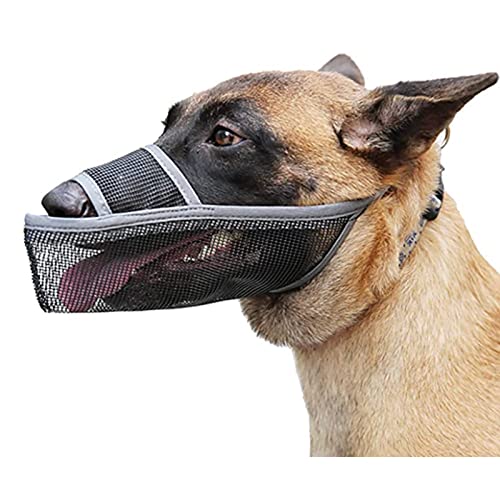 Hundemaulkörbe für kleine große Hunde,Hundemaulkorb Durable Mesh Nylon,Atmungsaktiv und weich, Atmungsaktiv und trinkbar Haustier Maulkorb,für Anti-Beißen Anti-Barking Lecken (M,Grey) von ROFRA